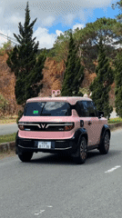 Pink car spotted driving through tree-lined Da Lat streets