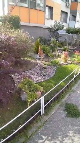 The video shows a well-maintained garden area outside a building. There are various plants, including bushes, trees, and flowers, arranged in a decorative manner. The garden is bordered by a fence, and there is a paved walkway or sidewalk. The building appears to be a multi-story structure with orange and white sections. The sun is shining, casting shadows, indicating it is daytime. No people or animals are visible in the video. The camera is positioned at an angle, looking down and across the garden.