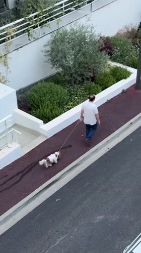 Ordinary evening moments captured across Cannes residential area