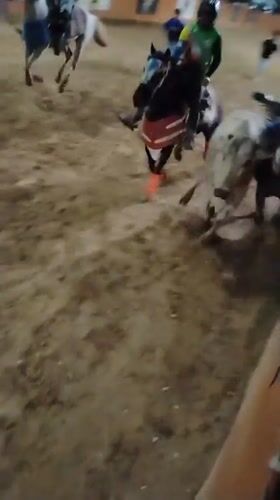 Late-night rodeo event draws crowds in Tinaquillo, Venezuela