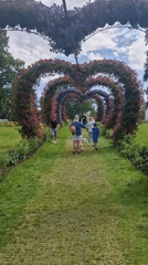 Heart-shaped floral arches line a garden path in Lithuania