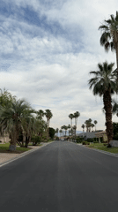 Quiet afternoon scenes captured in La Quinta residential area