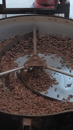 Cocoa processing facility operations documented in Mekarsari, Indonesia