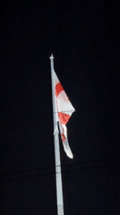 Georgian flag waves on illuminated pole in Tbilisi night