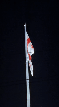 Georgian flag waves on illuminated pole in Tbilisi night