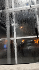 Ordinary moments: car washing, cat petting captured May 14