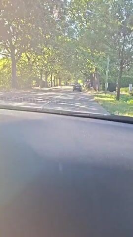 The video is shot from the perspective of a passenger inside a car, looking forward. The car is driving down a tree-lined road. The trees create a canopy over the road, dappling the sunlight. In the distance, another car is visible. There are houses and signs on either side of the road. The dashboard of the car is visible in the foreground. The sky is blue and the sun is shining.