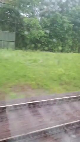 This video captures a view from a moving train window, looking out at a blurry, verdant landscape. The foreground reveals train tracks, suggesting the viewpoint is from a passenger. Beyond the tracks, a strip of brown earth gives way to lush green fields and trees. The sky appears overcast, and the presence of water droplets on the window indicates it is raining or has recently rained. The overall atmosphere is subdued, possibly evoking a sense of calm or melancholy due to the weather and the repetitive motion of the train. No people are visible in the frame. The time of day is unclear due to the overcast conditions, but the lush greenery suggests it is likely daytime. The location context provided places the scene in the Bagushevsky Village Council, Belarus.