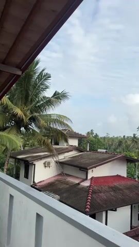 The video shows a view from a balcony looking out over several white buildings with red tile roofs. A large palm tree is visible on the left side of the frame. In the background, there is a lush green landscape with many trees and a cloudy sky. The camera pans slightly to the right, revealing more of the tropical scenery and additional buildings.