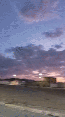 Palm trees sway in strong winds under dramatic twilight sky