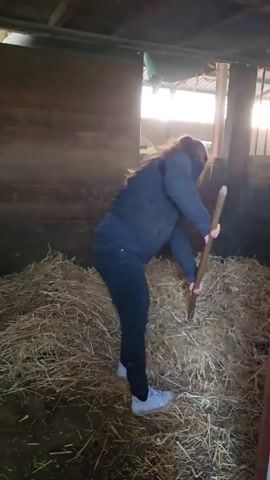 A woman is using a tool with a handle to spread out hay inside a barn. The woman is wearing a dark jacket, black pants, and gray sneakers. The barn has wooden walls, a low roof, and a window with light coming through. The floor is partially covered with straw.