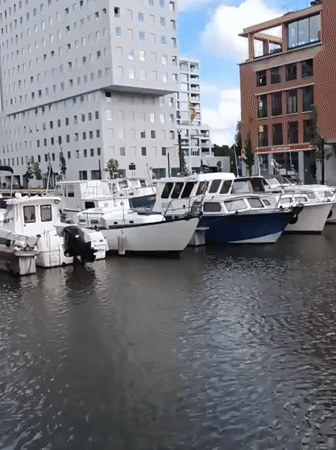 Witness documents Leuven waterfront district with buildings, boats, gardens