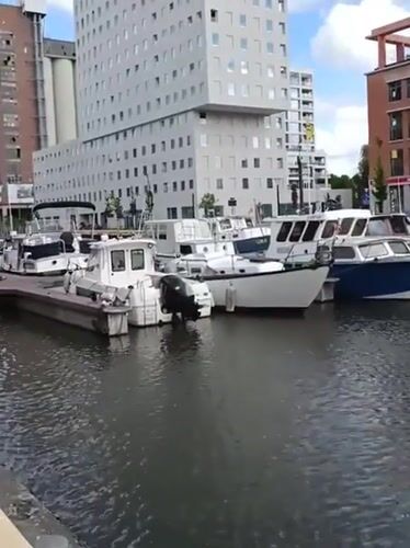 Witness documents Leuven waterfront district with buildings, boats, gardens