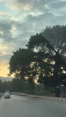 A forward-facing view from a vehicle moving on a multi-lane road during a cloudy sunset or sunrise is depicted. The sky exhibits a mix of grey clouds and a warm, golden hue along the horizon. Distant, dark mountains are visible on the left side. The road features lane markings, and a metal guardrail separates the roadway from a dense line of trees on the right. Several vehicles, including cars and a bus, are seen driving ahead in the same direction. As the camera progresses, tall, dark green pine trees, including their branches, briefly pass into the upper frame.
