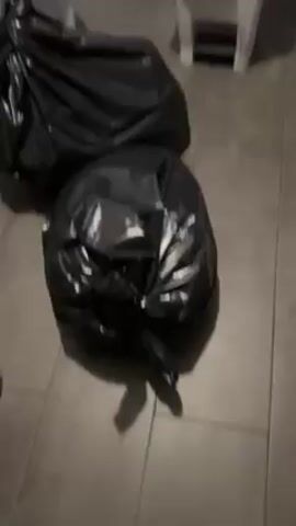 The video shows an indoor space with a man eating something from his hand. There are several black garbage bags on the floor, along with a white container on a stand. The camera focuses on the man as he eats something small from his hand, sticking his tongue out. Behind him is a metal shelving unit with various items on it.