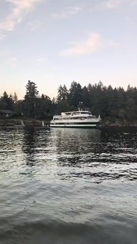A ferryboat is docked on a body of water. The ferryboat is white with a green stripe and has several decks. It is docked near a wooded shoreline with trees and some houses visible. The water is choppy and reflects the sky, which is a light blue with some clouds. The scene appears to be at dusk.