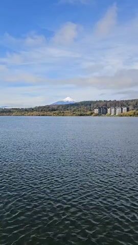 The video shows a body of water with gentle ripples and a snow-capped mountain in the background.  A strip of land covered in trees and some buildings are visible between the water and the mountain.  The sky is blue with scattered white clouds.  No people are visible.  An audible sound is present that may be caused by an animal.