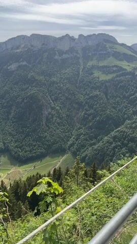 The video shows a panoramic view of a mountainous landscape. In the foreground, there is a metal railing with plants growing near it. The middle ground features a dense forest and a green valley with fields, roads, and buildings. In the background, there are mountains with rocky peaks and a partly cloudy sky. The camera pans left, revealing more of the valley and distant mountains, including one with a transmission tower on top. The overall environment appears to be rural and mountainous, possibly in Switzerland or a similar region.