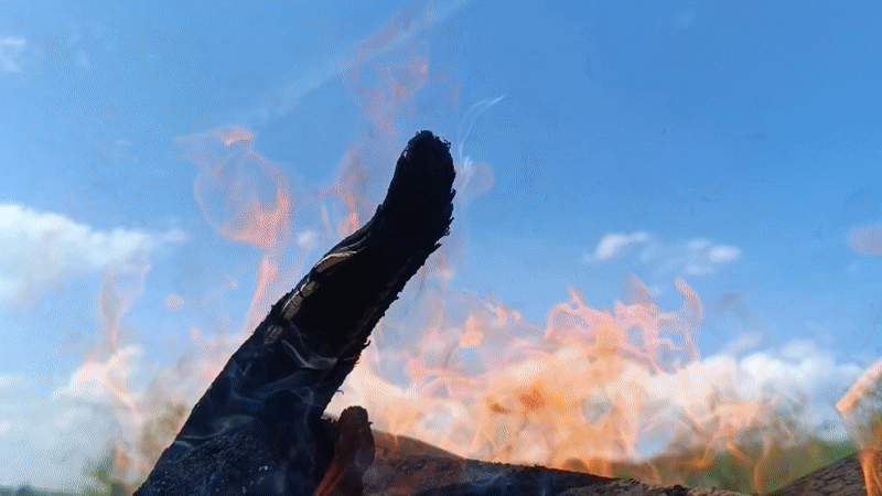 Controlled wood fire documented in rural Motyakovo, Russia