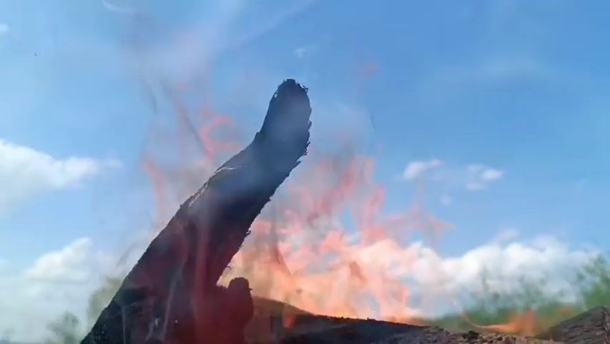 Controlled wood fire documented in rural Motyakovo, Russia