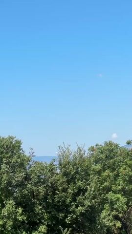 A short video captures a clear blue sky above a line of green trees. A white airplane is visible in the distance, flying horizontally across the frame from left to right. The airplane is small and distant, appearing as a white speck against the vast blue sky. The trees form a dense, green canopy at the bottom of the frame, with some leaves and branches visible. The ocean is barely visible in the background between the trees.