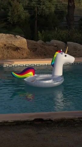 A white inflatable unicorn float with a rainbow mane and tail bobs in a swimming pool. The pool water is clear and blue, reflecting the sunlight. The edge of the pool is visible in the foreground, made of concrete and tile. Behind the pool, there is a dirt embankment with large rocks and some greenery. The overall scene is peaceful and suggests a sunny day.