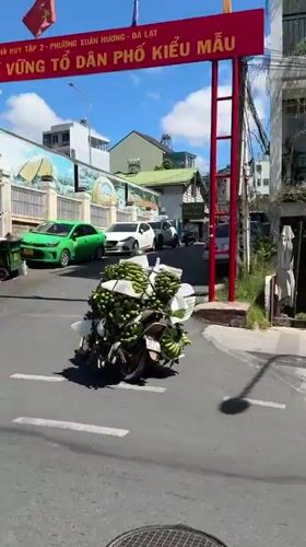 Green bananas on a motorbike rolling through Da Lat streets
