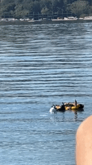 Person floats face-down in inflatable tube on Montenegro lake