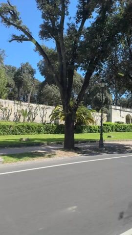 The video shows a view from a moving vehicle of a road with trees and a park area with a low wall with arches. The park area is lined with green hedges and trees. There are occasional lampposts along the edge of the road. The sky is blue and the weather appears to be sunny.