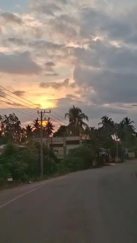 The video shows a road with trees and buildings on the side. The sun is setting in the background, casting a warm glow on the sky. There are power lines running along the road, and a few cars can be seen in the distance. The overall scene is peaceful and serene, with a sense of calm as the day draws to a close.