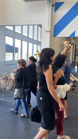 Man carries two large stuffed giraffes into Palm Springs building