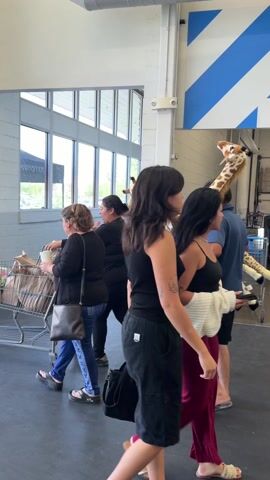 A man carries two large stuffed giraffes through the entrance of a building. The giraffes are brown and white with soft black manes and tails. The man is wearing a blue shirt and dark shorts. He walks past a group of people, including a woman pushing a baby in a stroller. The building has large windows, and a sign for "Monster Energy" is visible in the background. Other shoppers are present.