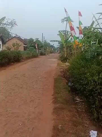 The video shows a dirt road in a rural area. There are houses and vegetation on either side of the road. Several Indonesian flags are displayed on poles along the road. There are also chickens walking on the road and in the surrounding area. The sky is overcast, and the overall lighting suggests it is early morning or late afternoon. The scene appears to be calm and uneventful.