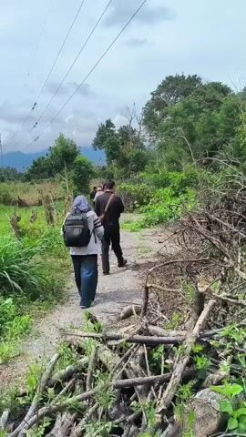 The video shows a group of people walking on a gravel path through a rural, outdoor setting. The path is bordered by lush green vegetation, including tall grasses and trees. In the foreground, there is a pile of cut branches and debris, suggesting recent clearing or maintenance. In the background, more trees and some distant mountains or hills are visible under a cloudy sky. Power lines stretch across the upper portion of the frame.

The group consists of several individuals, all walking away from the camera down the path. The person closest to the camera is wearing a grey jacket, dark pants, and a black backpack. Another person in front of them is wearing a light purple jacket and a hijab. Further ahead, other individuals are also walking, some with backpacks. The overall atmosphere appears to be casual, possibly a hike or a nature walk.

The time of day seems to be daytime, given the natural light, though the cloudy sky might suggest overcast conditions. The location, identified as Kebunbaru, Indonesia, combined with the dense greenery and mountains, paints a picture of a rural Indonesian landscape. There are no visible text elements in the media file. The activity is straightforward: a group of people traversing a path in a natural environment.