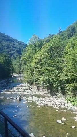 The video shows a flowing river with rocks on its bed and on its banks. The river is surrounded by lush green trees on both sides, and in the background, there are mountains covered with trees. The sky is clear and blue. The video appears to be taken from a moving vehicle, possibly a train, as indicated by a blurry window and a part of the vehicle's structure on the left side of the frame. The camera is pointed towards the river and the surrounding scenery.