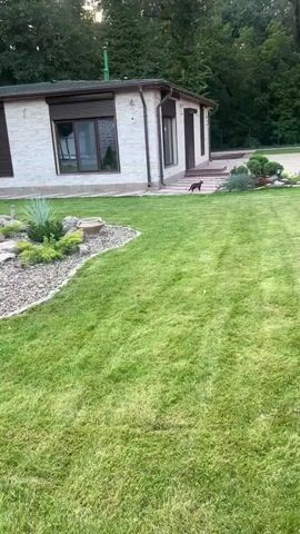 A tabby cat walks across a paved patio in front of a brick house. The cat then walks onto a green lawn and disappears out of frame.