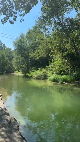 A drone video pans across a body of water, possibly a river or creek, surrounded by lush green trees. The water is calm and reflects the sunlight, giving it a greenish hue. On the left bank of the water, a rocky edge is visible. Further along the bank, a rope swing hangs from a tree branch, dangling above the water. The trees are dense and create a canopy overhead, with sunlight filtering through the leaves. The video continues to pan, showing more of the tree line and the water. The scene appears to be a natural outdoor setting, likely a park or recreational area.