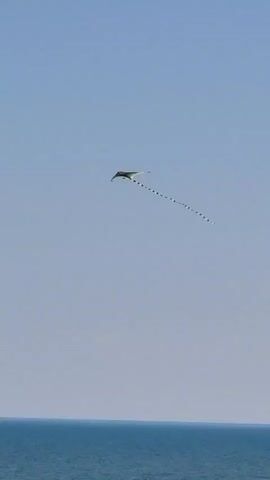 The video shows a kite flying in the sky above the ocean. The kite is yellow and black and has a long tail. The ocean is blue and calm. The sky is clear and blue. There are a few people swimming in the ocean. The kite is the main subject of the video.