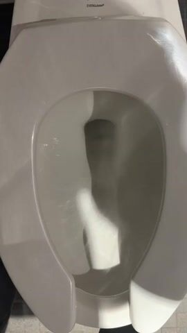 The video shows the inside of a white, oval toilet bowl as it is being flushed. The water swirls down the drain. The toilet lid is open, and the word “EVERCLEAN” is partially visible on the top of the tank.