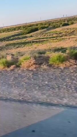 The video shows a blurred view of a roadside landscape. A triangular road sign with a number one inside is visible on the left. The ground in the foreground is a mix of asphalt and gravel. The background features dry vegetation, a pipeline or a long, thin structure, and a field or hillside with trees and bushes under a clear sky. The camera appears to be moving.