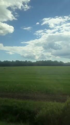 The video displays a static shot of a vast, flat green field under a wide blue sky with numerous white cumulus clouds. A dense line of dark green trees forms the horizon in the distance. Above the tree line, power lines are visible. Two wooden utility poles stand upright in the middle of the green field, with power lines connecting them and extending beyond the frame. The immediate foreground shows a patch of darker, somewhat overgrown grass and a strip of brown earth, suggesting a track or boundary. The scene depicts a peaceful, rural landscape, likely captured on a bright, cloudy day. The location context provided is Spasskaya Polist', Russia. No discernible activity or people are present in the frame.