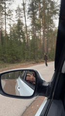Forest outing documented in Chaikovsky, Russia over 42 minutes