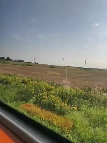 The video shows a view from a moving vehicle, possibly a train, looking out a window at a rural landscape. The scene is dominated by a field with green vegetation in the foreground and a brown, dry field in the background. Several wind turbines are visible in the distance, indicating a wind farm. Overhead, power lines and a large transmission tower are present. The sky is clear and blue, suggesting a sunny day. The camera appears to be moving horizontally, capturing the passing scenery. There are no people or distinct actions immediately visible in the frame, other than the implied movement of the vehicle.