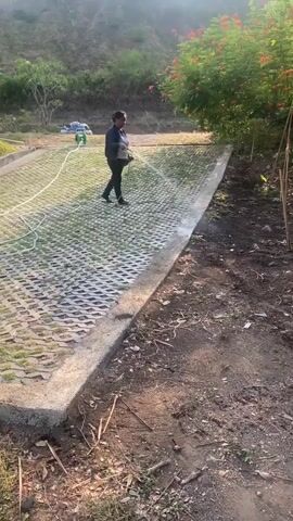 A person stands on a sloped area with a honeycomb-like paving system, watering it with a hose. The paving system is mostly covered with grass. The person is wearing a dark jacket and dark pants, and appears to be holding a spray nozzle. A green hose runs across the paving system. Behind the person, there is a lush green tree with red flowers. The background shows a hillside with trees. The ground in front of the paving system is bare earth with some debris. The lighting suggests it is daytime, possibly late afternoon due to the angle of the sun.