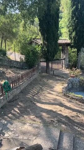 The video shows a dry, sun-drenched yard with a small, rocky pond in the center. A stone archway with a metal gate leads to a building in the background. Tall, slender trees frame the scene, and the yard is surrounded by lush greenery and a wooded hillside. The ground is covered in dry leaves and dirt, indicating a warm, dry climate. The overall impression is one of a rustic, somewhat overgrown landscape.