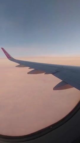 The video shows a view from inside an airplane, looking out of a window. The airplane wing is visible, extending over a blanket of pink-tinged clouds. Above the clouds, the sky fades from a pale orange near the horizon to a light blue higher up. The airplane window frame is in the foreground, slightly obscuring the view.
