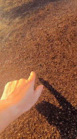 Golden hour on a Baltic beach outside Riga