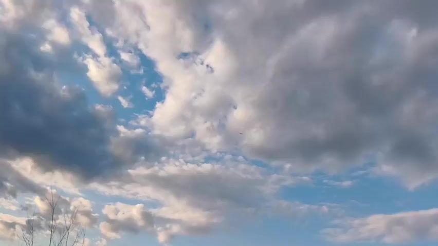 A time-lapse video shows a partly cloudy sky with a few small birds flying. The clouds range from dark gray to white and are moving across the blue sky. The sun appears to be setting or rising, casting a warm light on the clouds. The bottom left corner of the video shows the tops of some thin, dry branches of a plant, suggesting an outdoor setting. The overall scene is peaceful and serene.