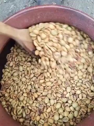 A close-up shot shows a person's hands stirring a large quantity of unroasted coffee beans in a reddish-brown plastic tub. The beans are light brown and oval-shaped. The stirring is done with a long, light-colored wooden tool that appears to be a paddle or a large spoon. The tub is full of beans, and some are being lifted and moved around by the stirring tool. The background is blurred but appears to be a rough, gray surface, possibly concrete or dirt. The action is continuous, with the beans constantly shifting and moving.