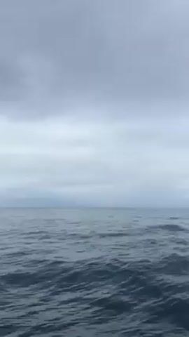 The video shows a wide expanse of dark blue ocean under a gray, overcast sky. The camera appears to be on a moving boat, judging by the white water splashing in the lower part of the frame. The horizon line is visible in the distance, where the ocean meets the sky. There are no people or other objects visible in the video.